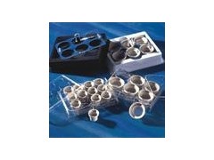 细胞筛网 细胞滤网CORNING BD 352340