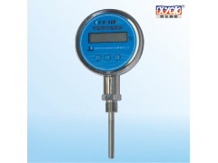 智能數(shù)字溫度表XW-100型 液晶顯示溫度表