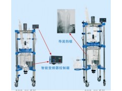 武漢50L-100L雙層玻璃反應(yīng)釜