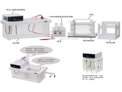 變性梯度凝膠電泳