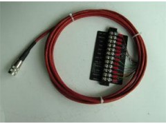 RAYXXX2CCB15 雷泰RAYXXX2CCB8高温电缆