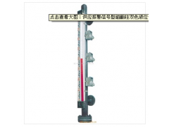 報警信號型磁翻柱雙色液位計