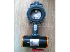 DN100依博罗阀门