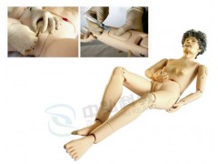 全功能女性老年护理人模型，老年人护理人训练模型功能