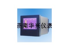 XSR30單色無(wú)紙記錄儀