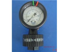 全塑压力表，防腐压力表，隔膜防腐压力表