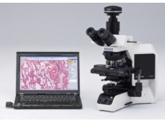 全功能生物显微镜BX53