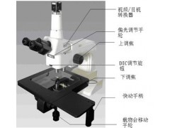 微分干涉顯微鏡( 觀察導電粒子)