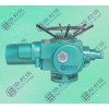 DZW120-24电动装置，电动执行器