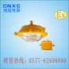 内场防爆应急泛光灯BYE6120,BYE6120