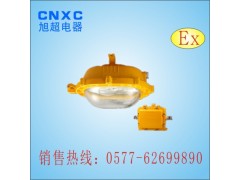 内场防爆高亮度泛光应急灯G7780B-Y,G7780B-Y