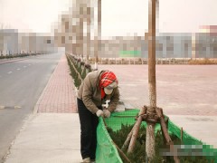 天津防風布廠家，防雨布價格，防凍布批發