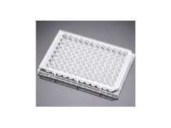 96孔细胞培养板，353072，BD FALCON