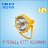 防爆投光灯BTC8210,BTC8210