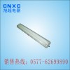 防爆防腐全塑荧光灯BAY6010,BAY6010