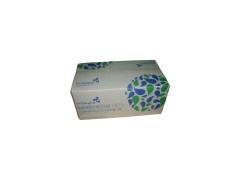 液基细胞处理试剂盒（TCT）-贝真生物