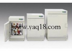 曲线控制十段编程电热恒温箱、电热恒温箱