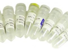 柠檬酸钾 6100-05-6