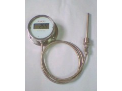 数显温度计WD-SXM-401