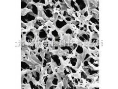 美國孔徑0.1um/0.22um PVDF微孔濾膜/過濾膜
