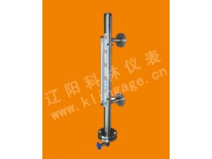 MG系列磁浮子液位计-现在指示型