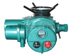 DZW30多回轉(zhuǎn)一體化調(diào)節(jié)型電動(dòng)執(zhí)行器Z30，DZ-Z30,
