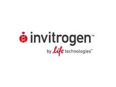 invitrogen  TRIZOL REAGENT