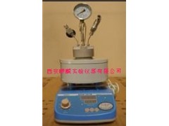CGFL-25ml微型高壓反應釜,高壓反應釜，反應釜