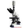 wi82320电脑型生物显微镜，生物显微镜价格