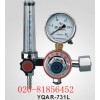 氩气减压器YQAR-731L