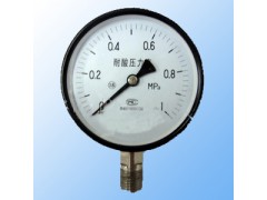 耐酸壓力表