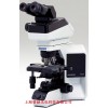 奥林巴斯研究级显微镜BX43