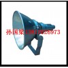 【NTC9200】【NTC9200A】【防震型投光灯