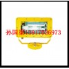 BFC8100【BFC8100】防爆外场强光泛光灯