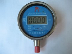 带背光灯型数字压力表/压力表
