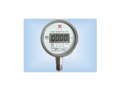 通用型数字压力表     型号：CCY-CYB-100