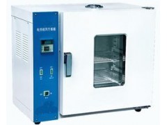 电热鼓风干燥箱/鼓风干燥箱  型号:HAD-101-OES