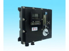 在线防微量氧分析仪 型号：HGNL-B