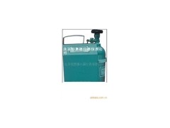 BGQ-1 便携式气体仪表校准仪