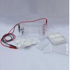 BJL/DYCP-31DN 瓊脂糖水平電泳槽