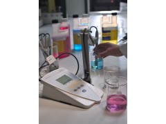 賽多利斯 PH酸度計PB-21