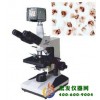 三目生物显微镜XSP-10CD