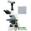 电脑生物显微镜XSP-13CD