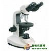 双目偏光显微镜XP-400