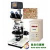 透反射偏光熔点仪XPR-300D