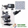 電腦倒置顯微鏡XTU-20D