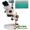 三目视频显微镜TSU-50D