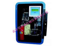 在线式钠度仪DH-DGN-9507N