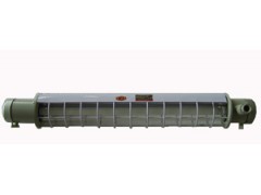 隔型荧光灯  型号：GJ-DGS20/127V