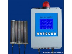 HAD/REN300 在线x-γ辐射安报警仪